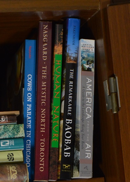 Assortment of Books on Landscape Art