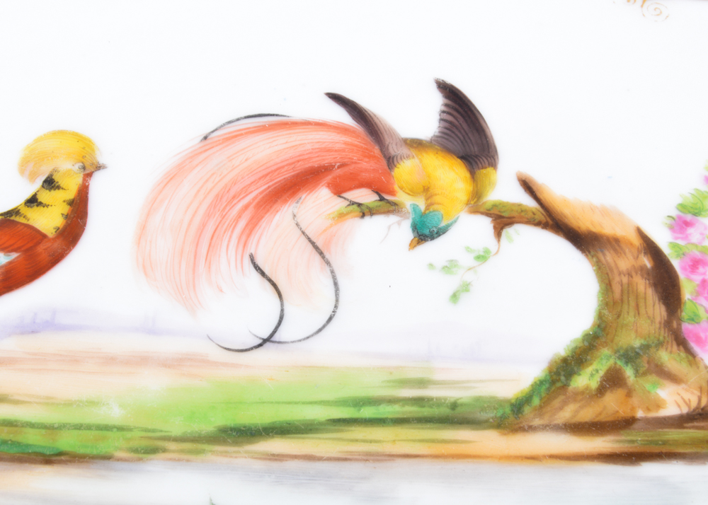 Hand-Painted Porcelain Serving Platter Featuring Birds