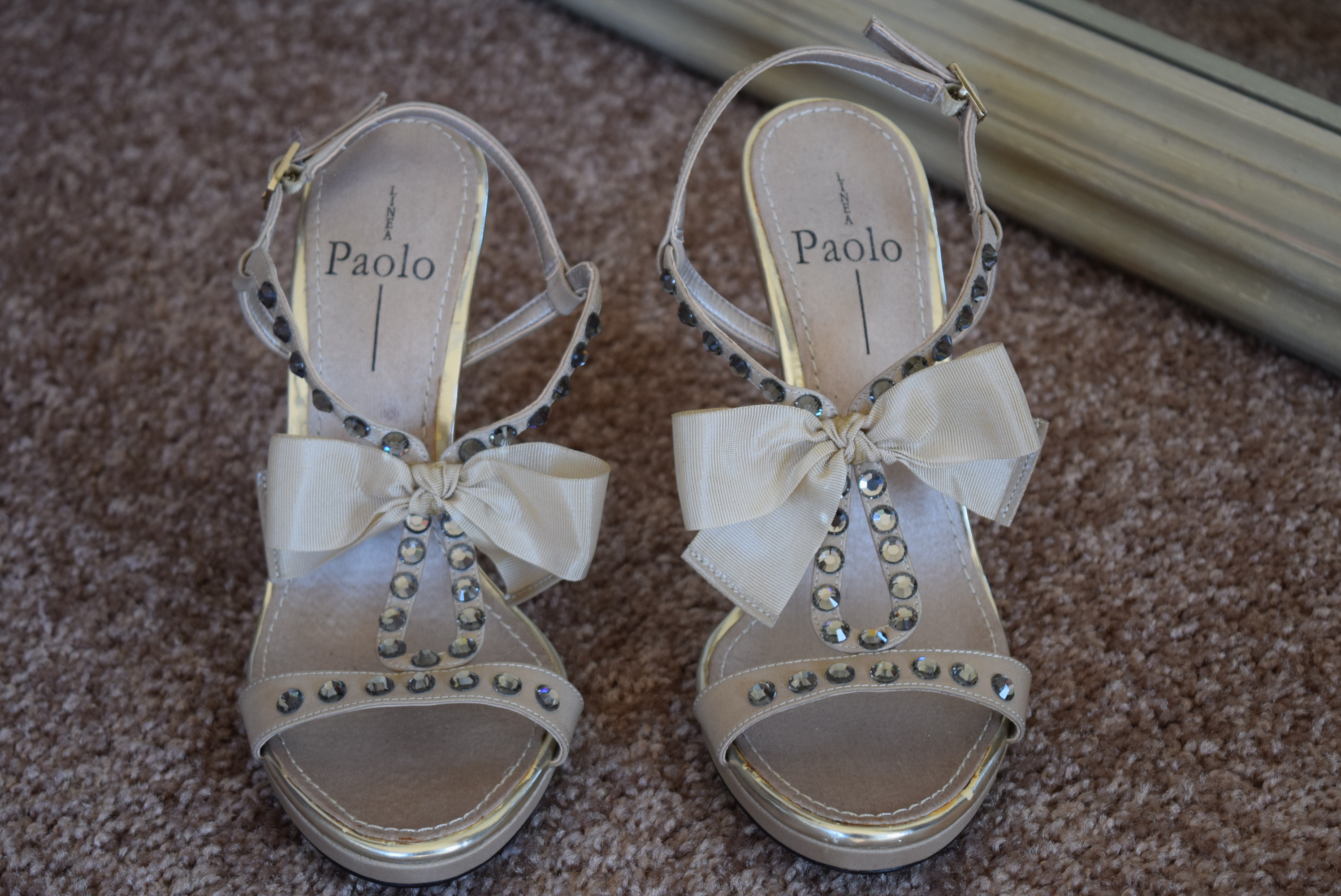 Designer Lida Baday Dress and Paolo Shoes