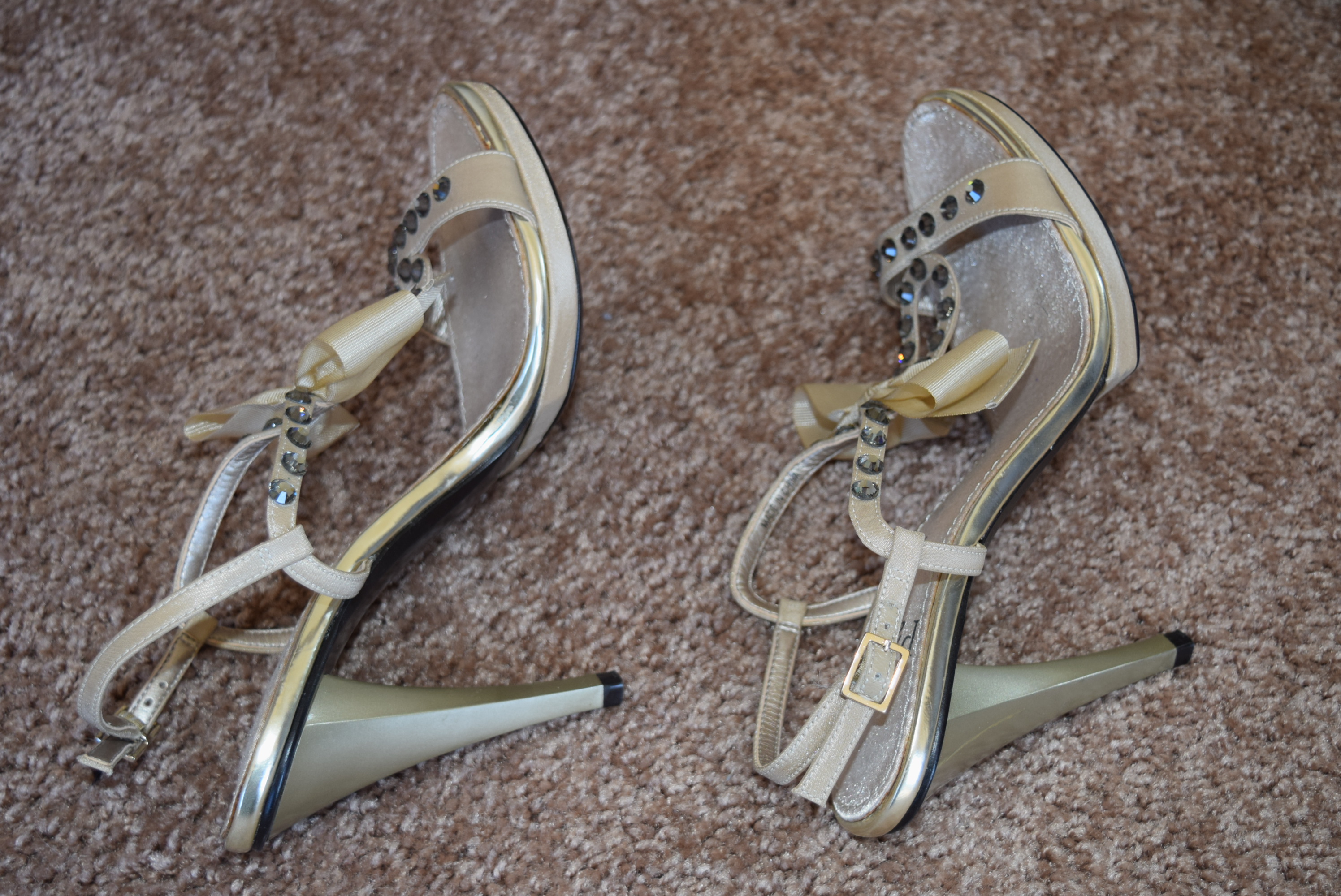 Designer Lida Baday Dress and Paolo Shoes