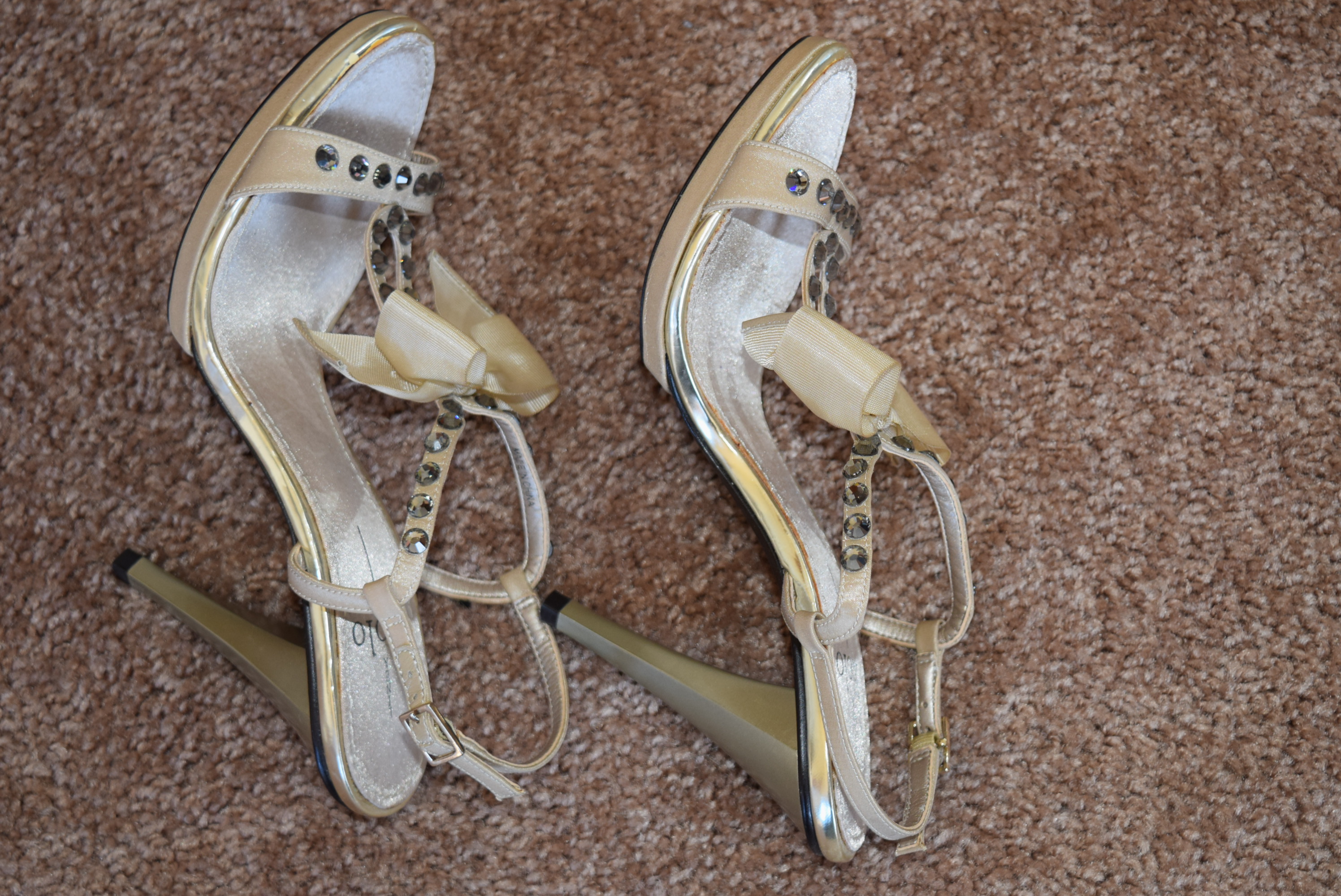 Designer Lida Baday Dress and Paolo Shoes