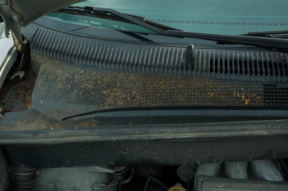 2003 Toyota Sienna Minivan