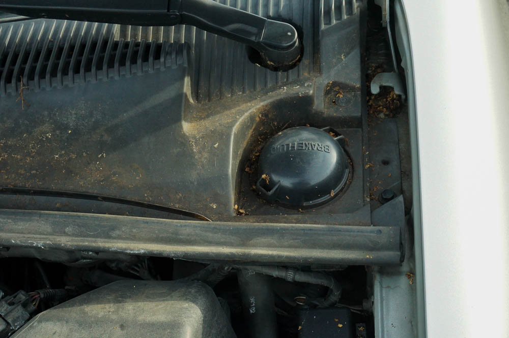 2003 Toyota Sienna Minivan