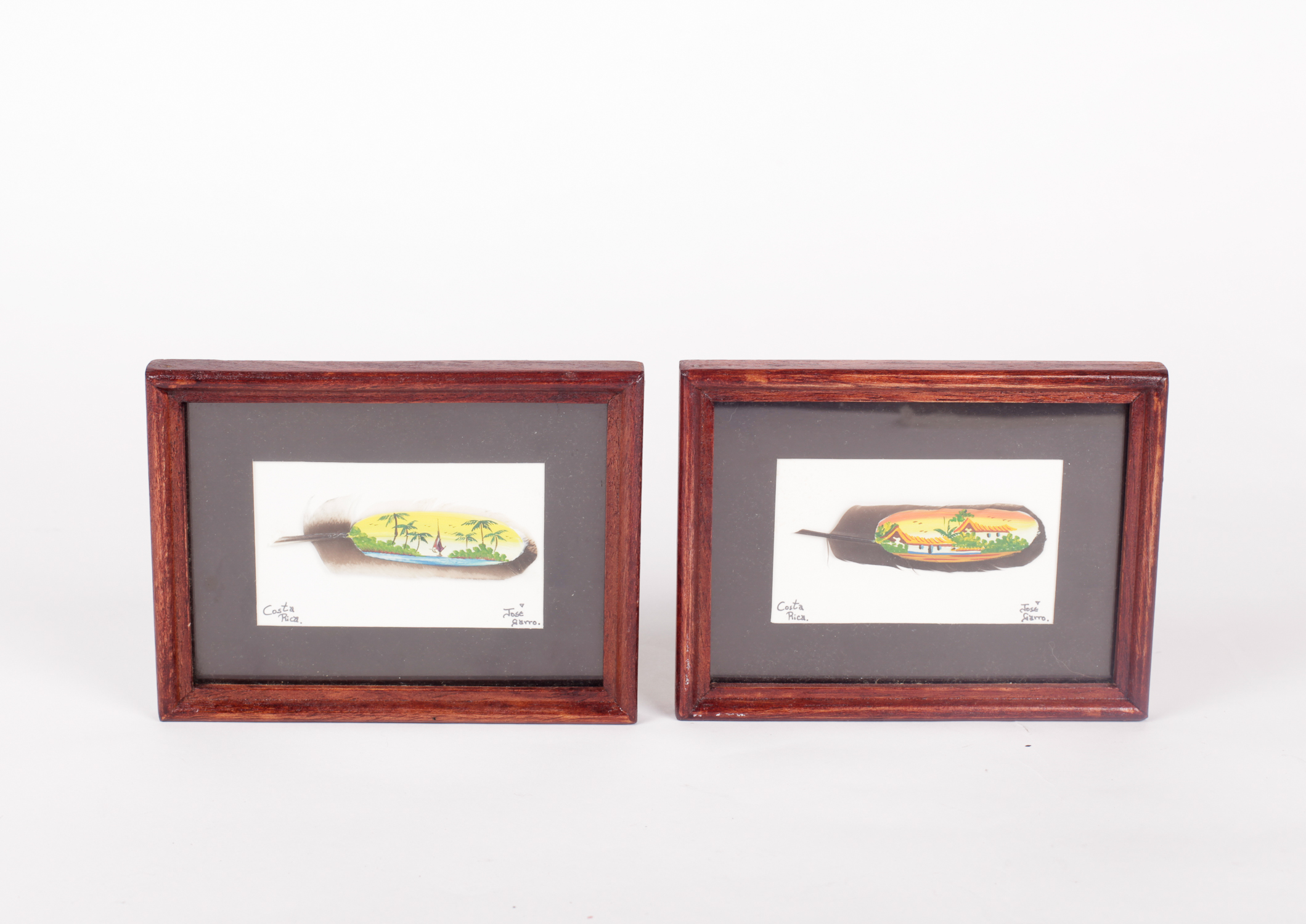 Pair of Framed Jose Garro Painted Feathers features paintings