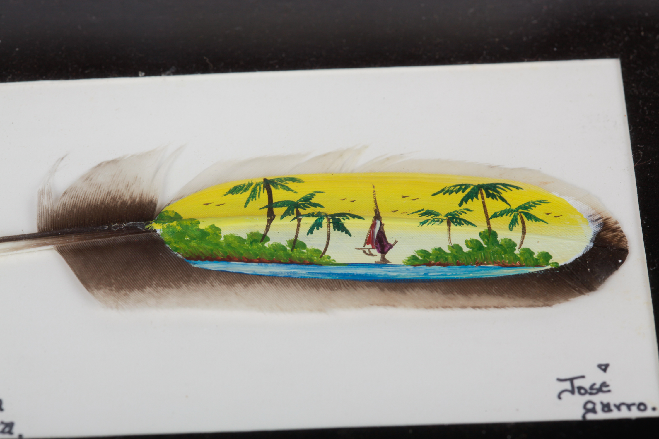 Pair of Framed Jose Garro Painted Feathers features paintings