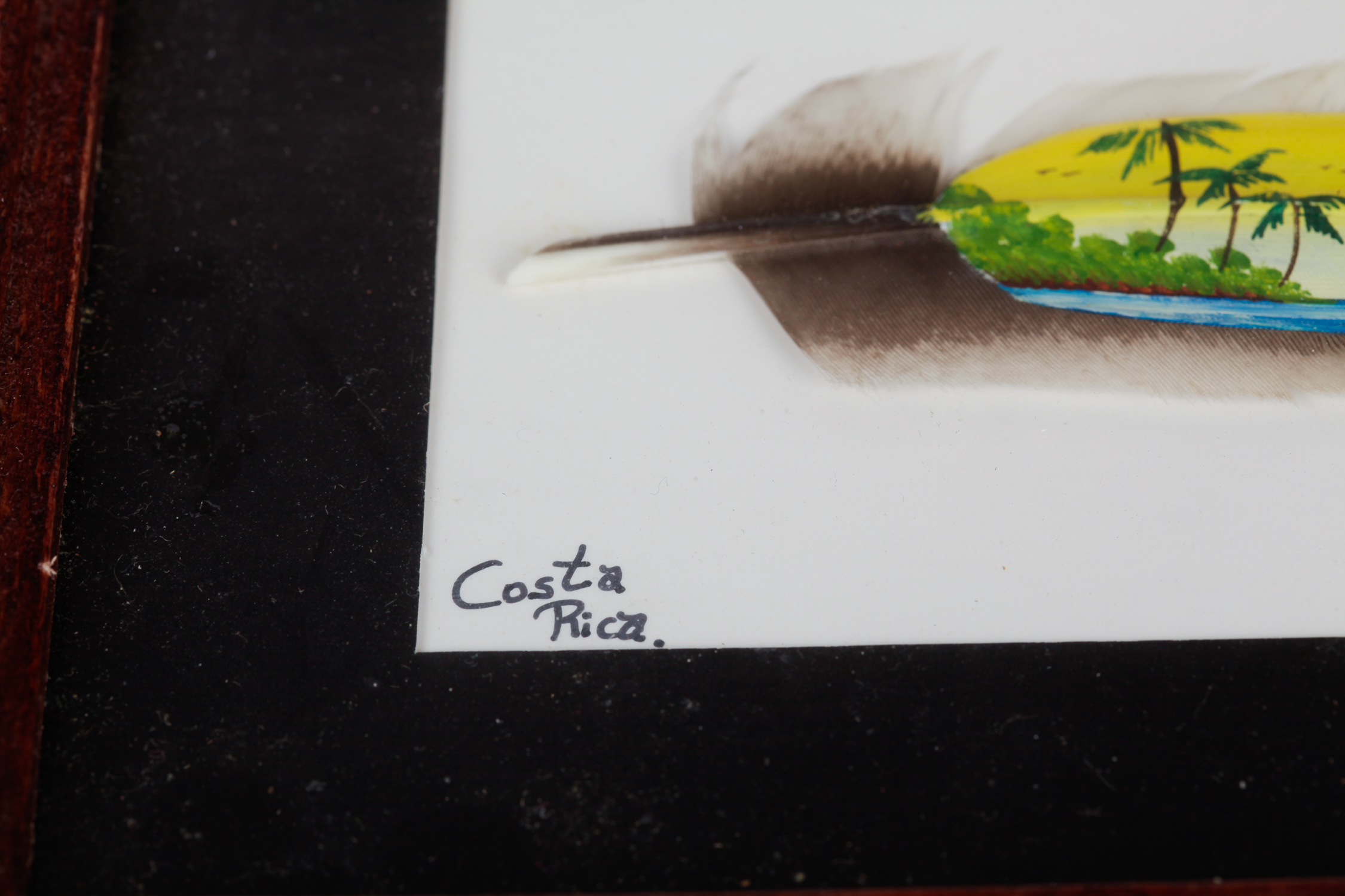 Pair of Framed Jose Garro Painted Feathers features paintings