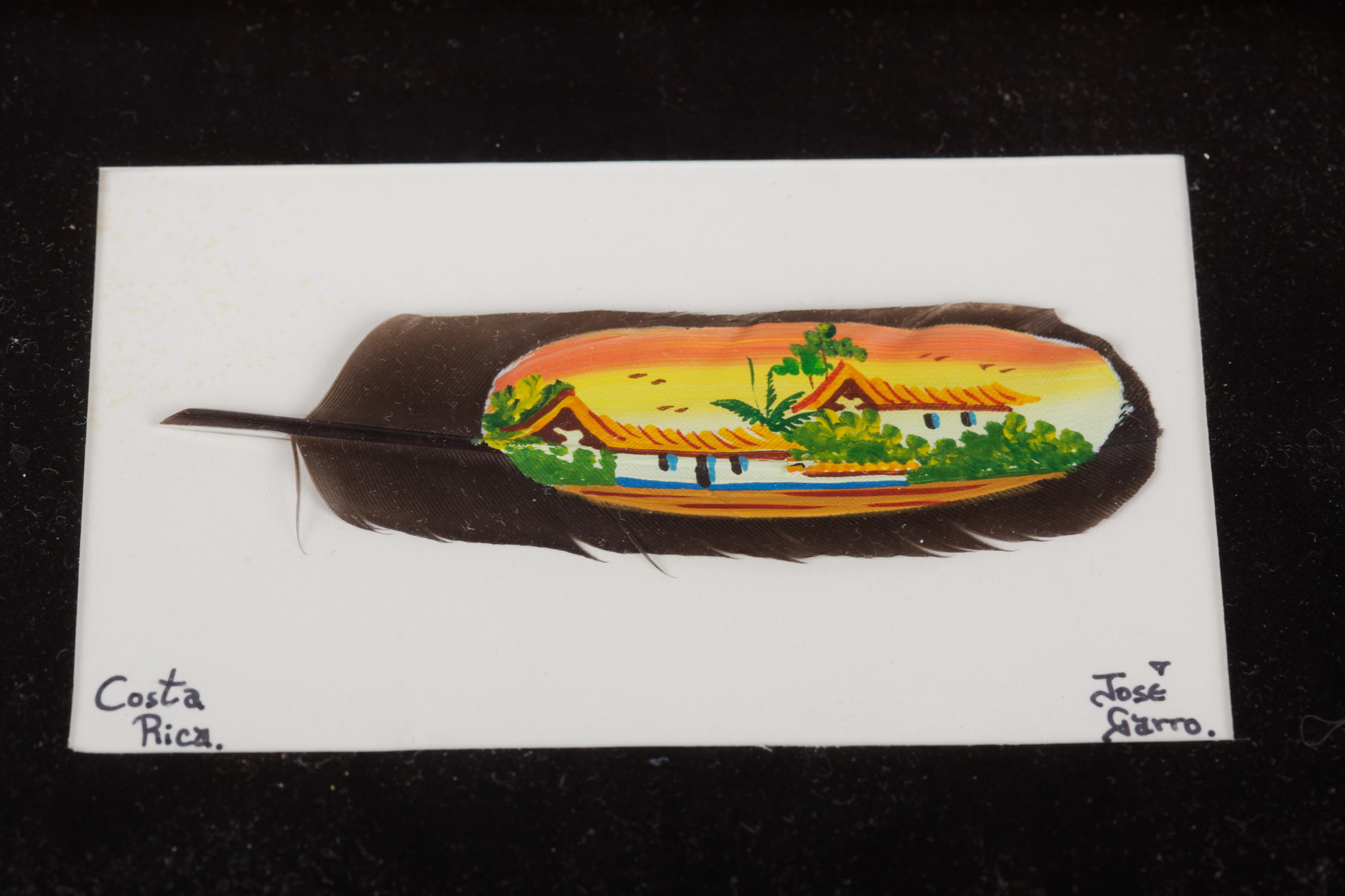 Pair of Framed Jose Garro Painted Feathers features paintings