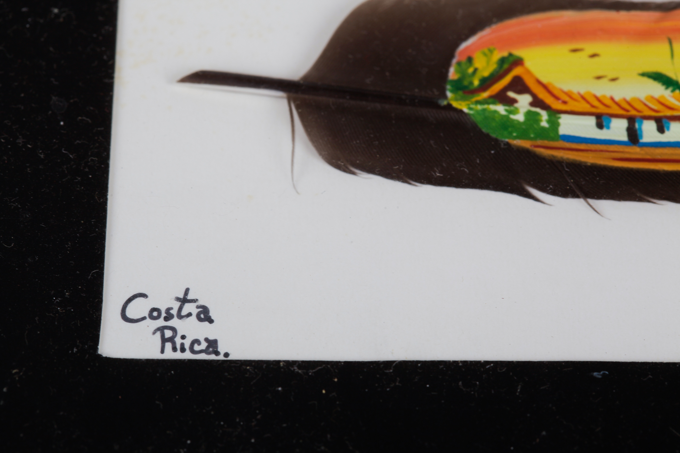 Pair of Framed Jose Garro Painted Feathers features paintings