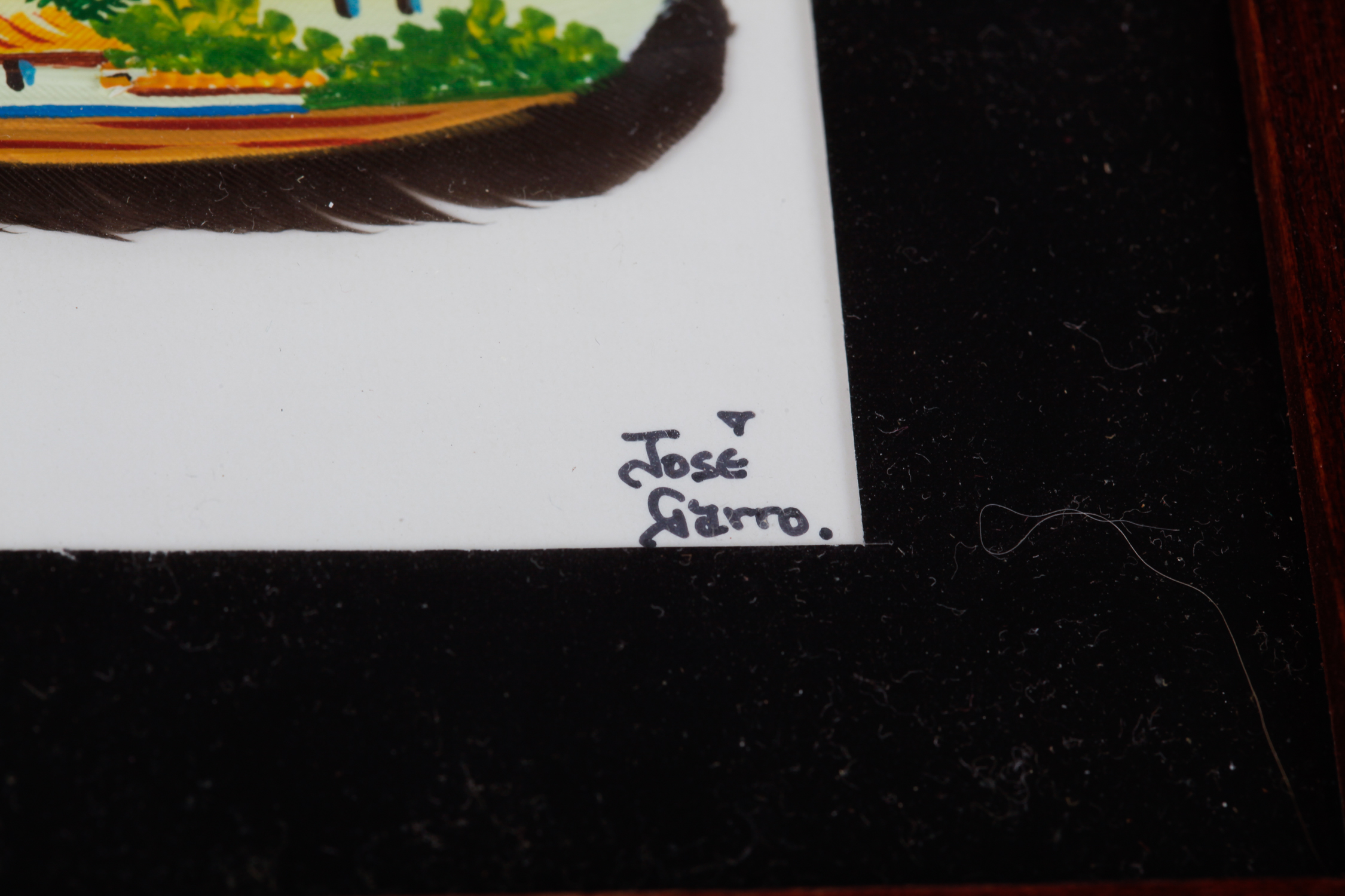 Pair of Framed Jose Garro Painted Feathers features paintings