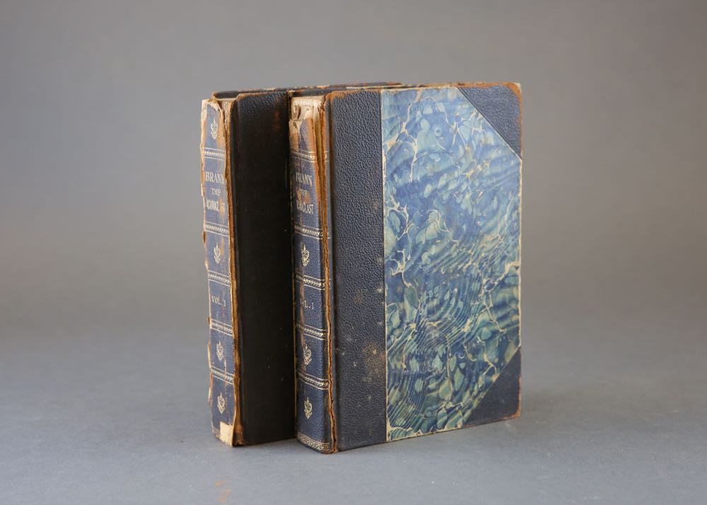 Two Antique Volumes by C.W. Brann _The Iconoclast_