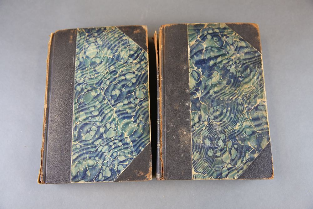 Two Antique Volumes by C.W. Brann _The Iconoclast_