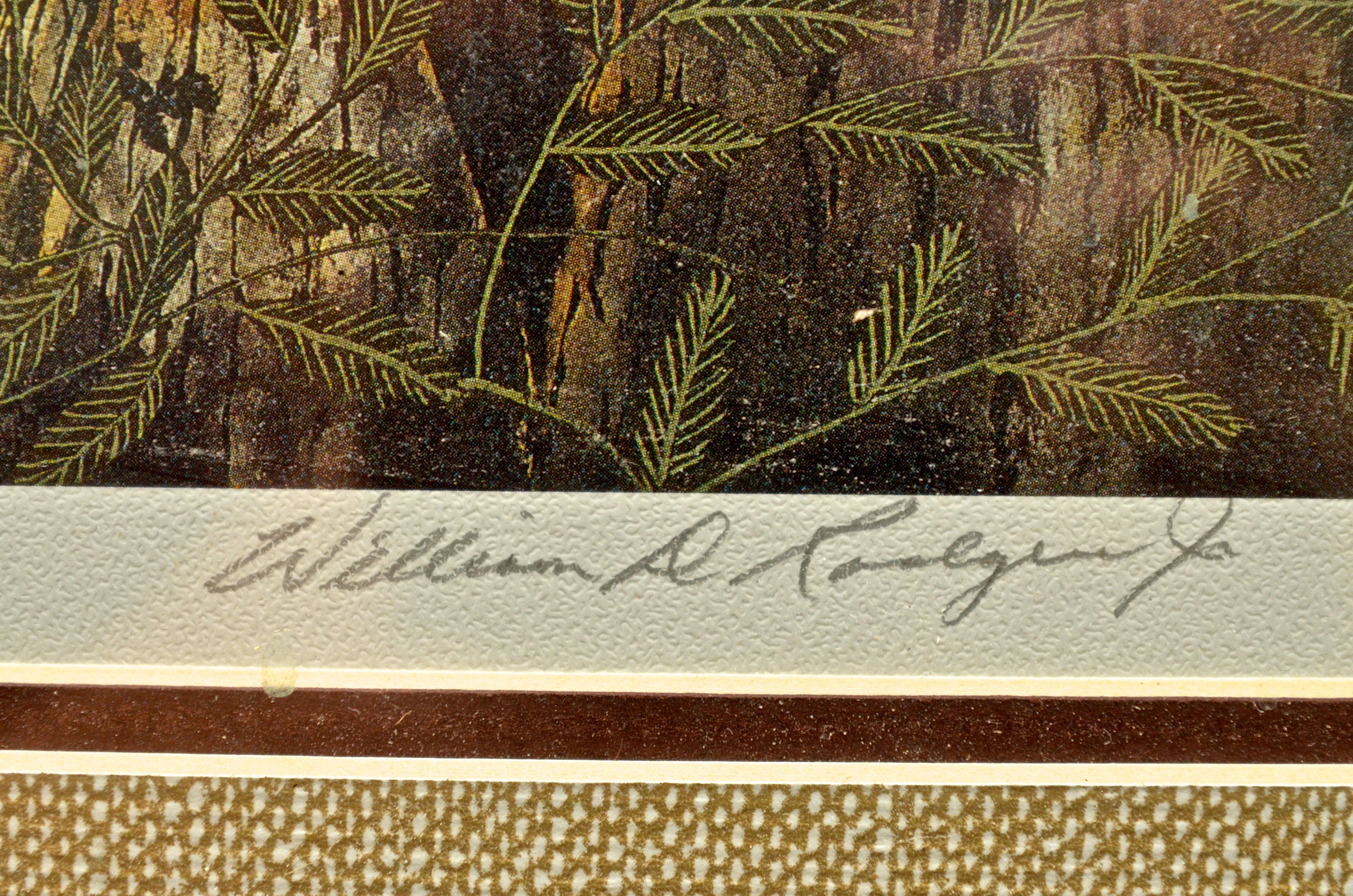 Pair of Framed William Rodgers Jr. Bald Eagle Giclées