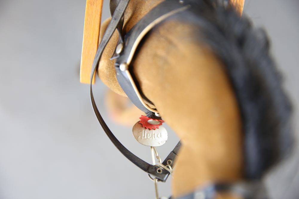 Equestrian Theme Decorative Items
