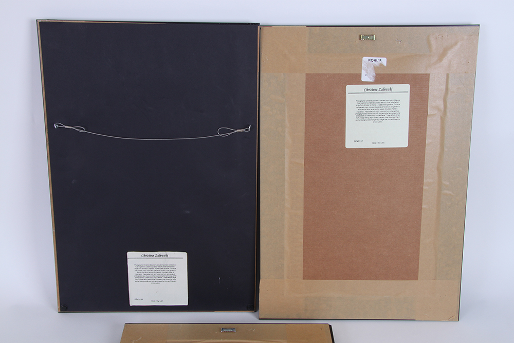 Trio of Christine Zalewski Floral Offset Lithographs