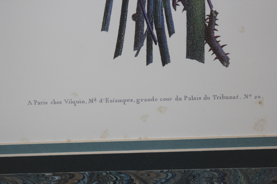 Framed Jean-Louis Prévost Print