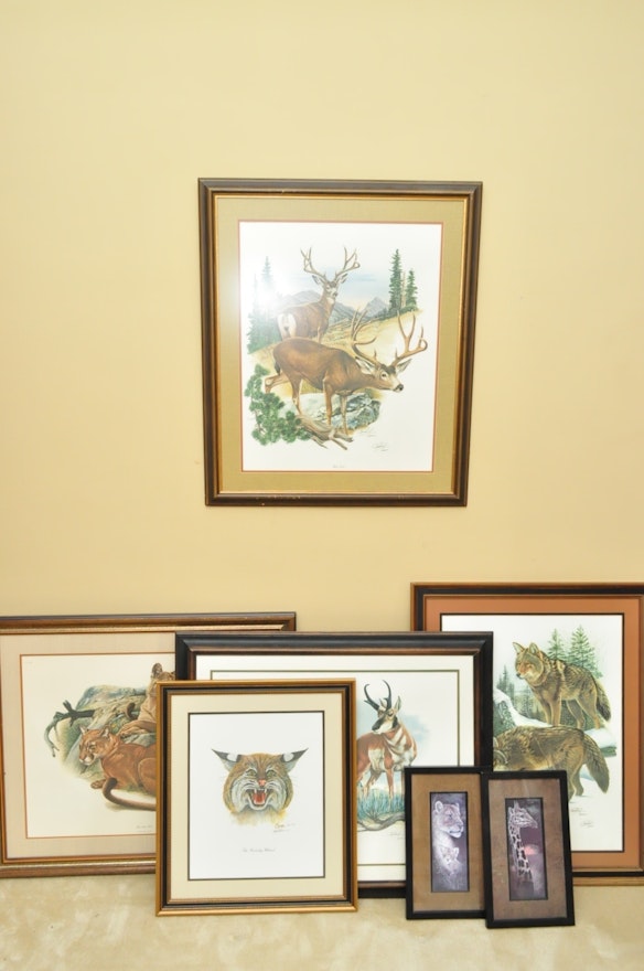 Wildlife Art from Richard Timm and More