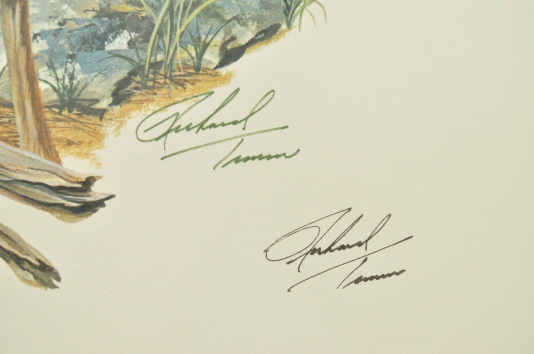 Wildlife Art from Richard Timm and More