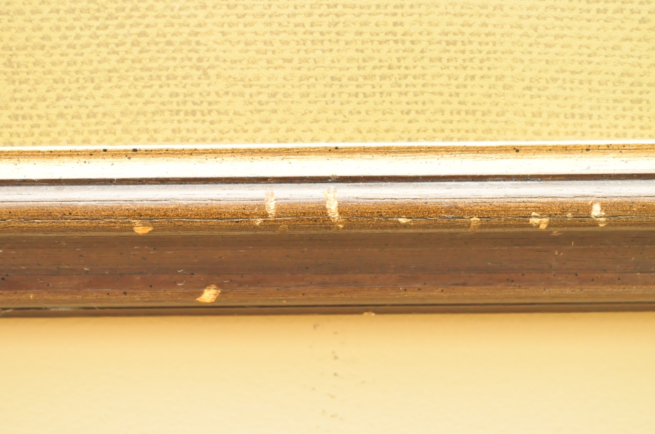 Wildlife Art from Richard Timm and More