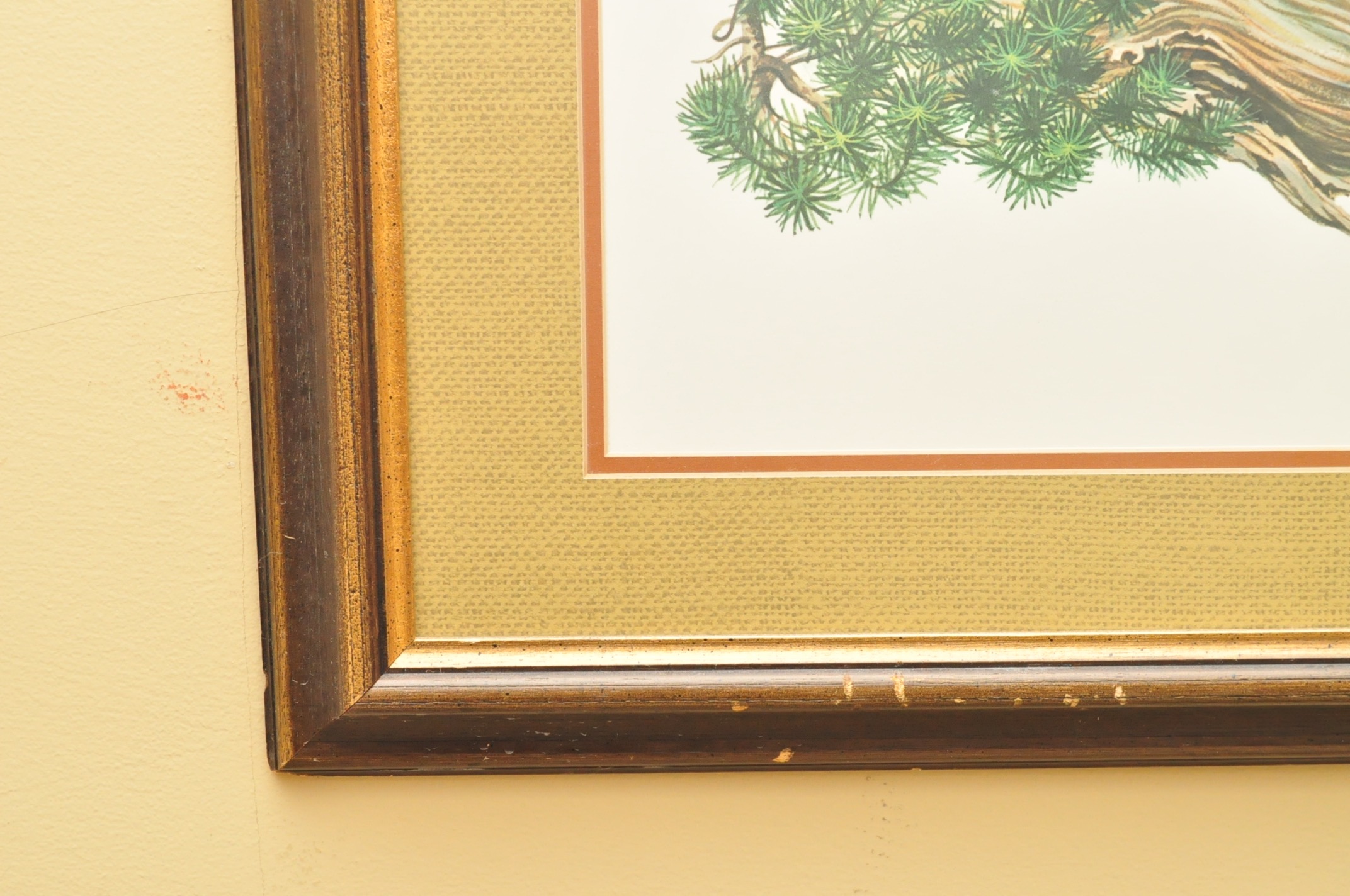 Wildlife Art from Richard Timm and More