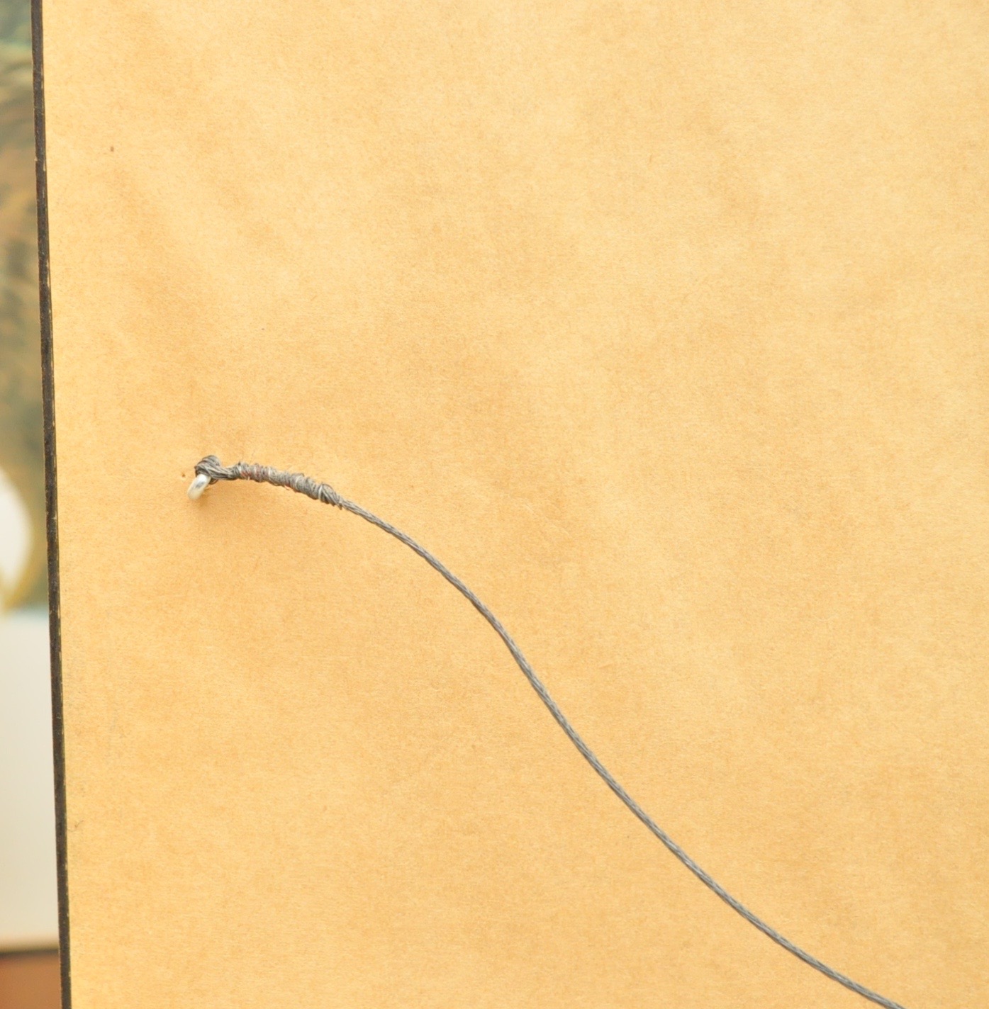 Wildlife Art from Richard Timm and More