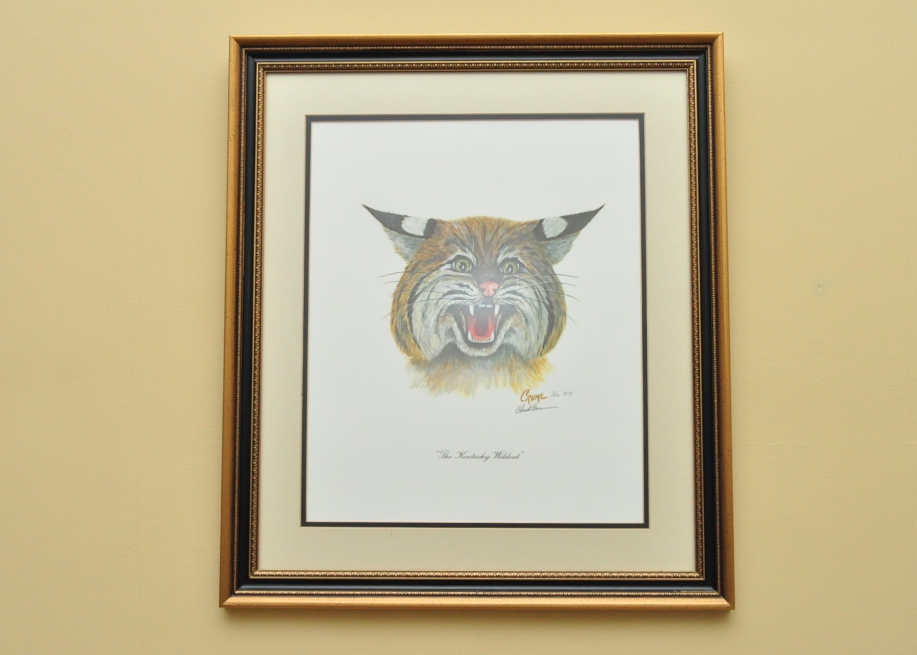 Wildlife Art from Richard Timm and More