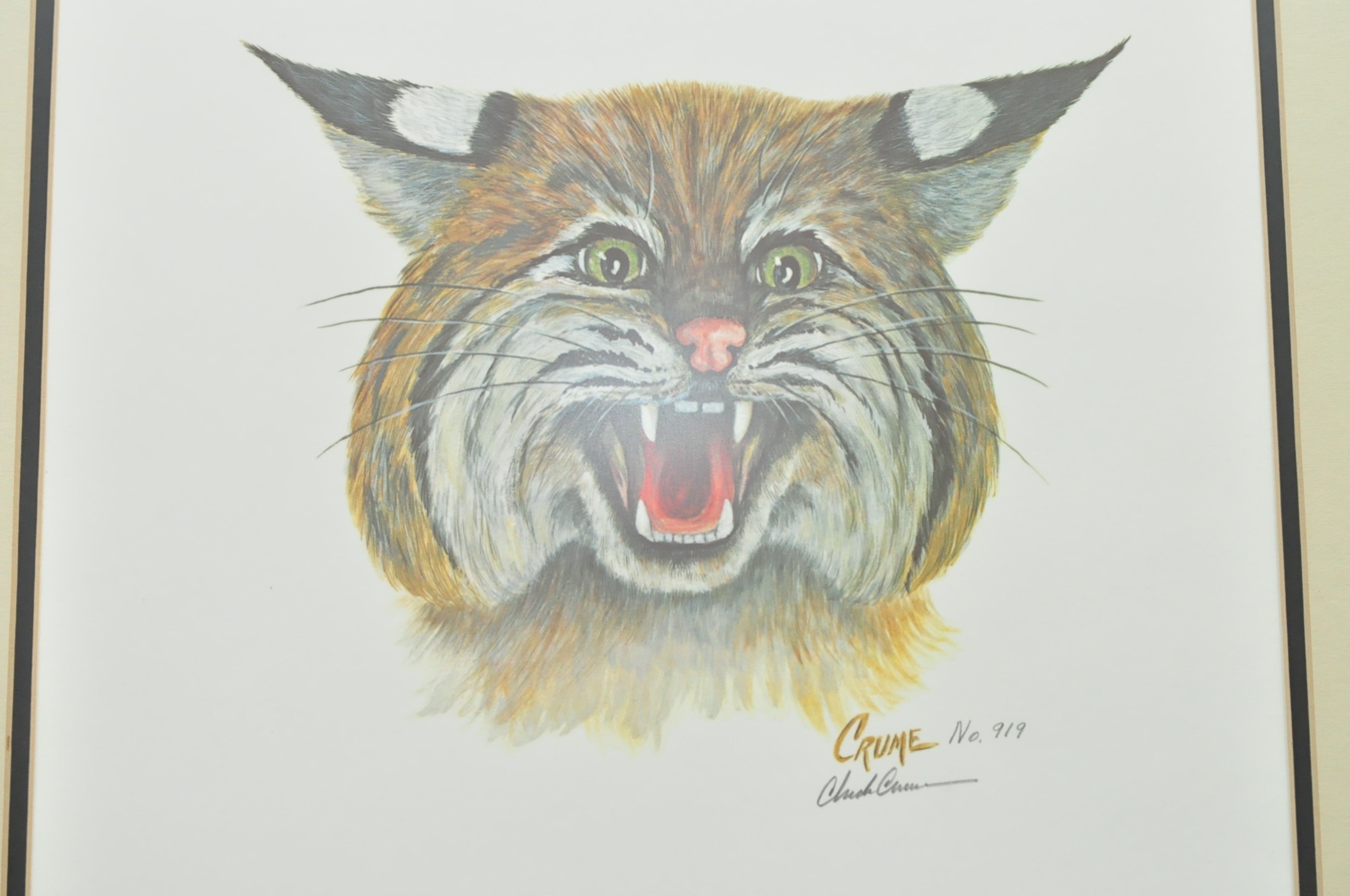 Wildlife Art from Richard Timm and More