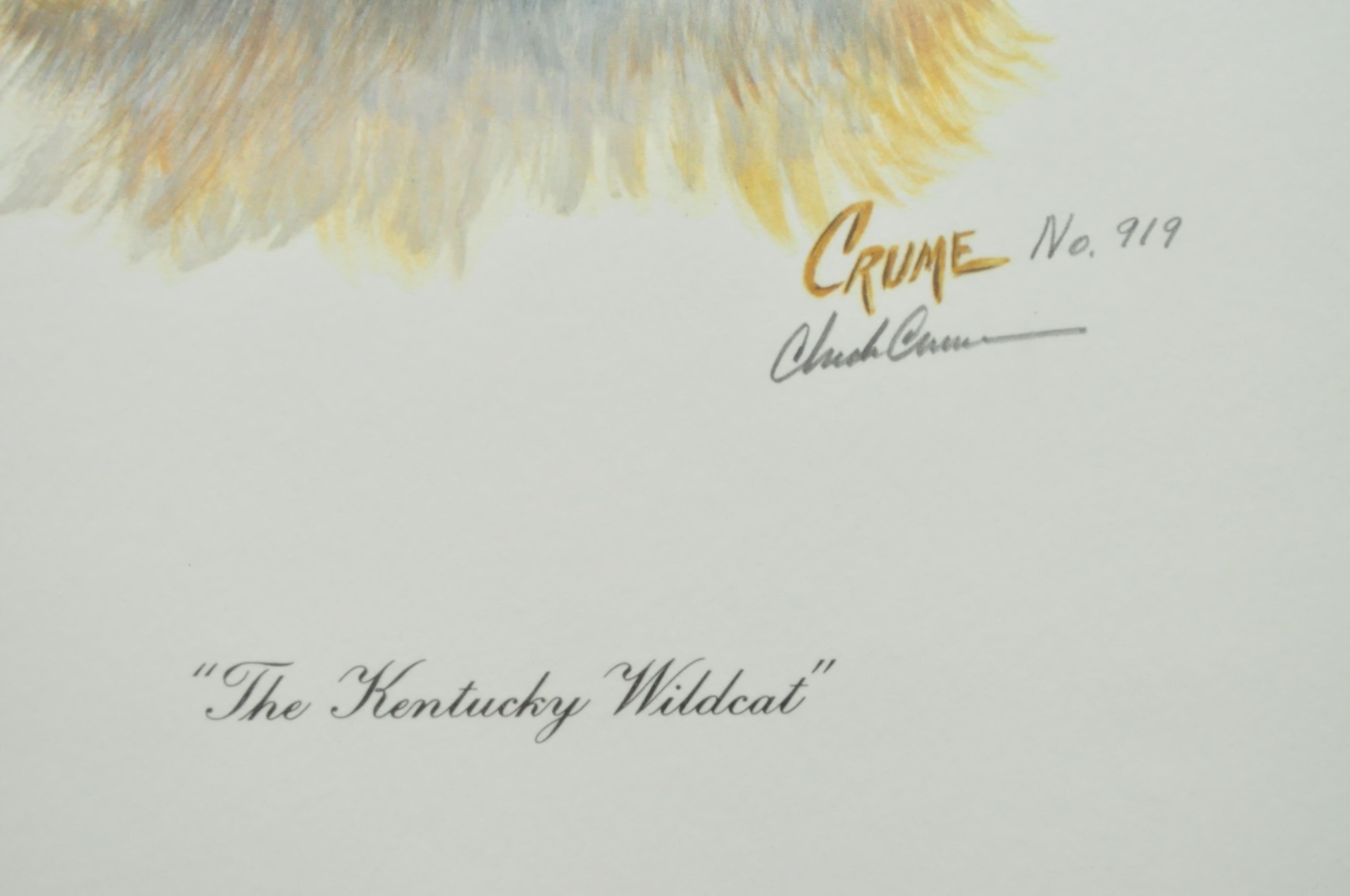 Wildlife Art from Richard Timm and More