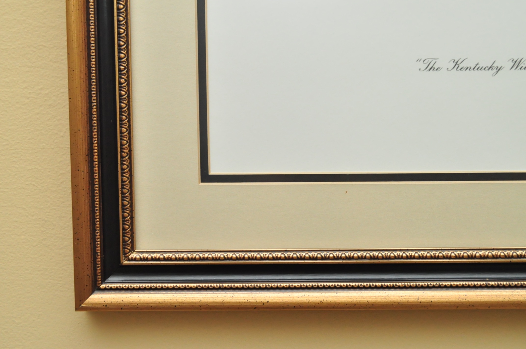 Wildlife Art from Richard Timm and More