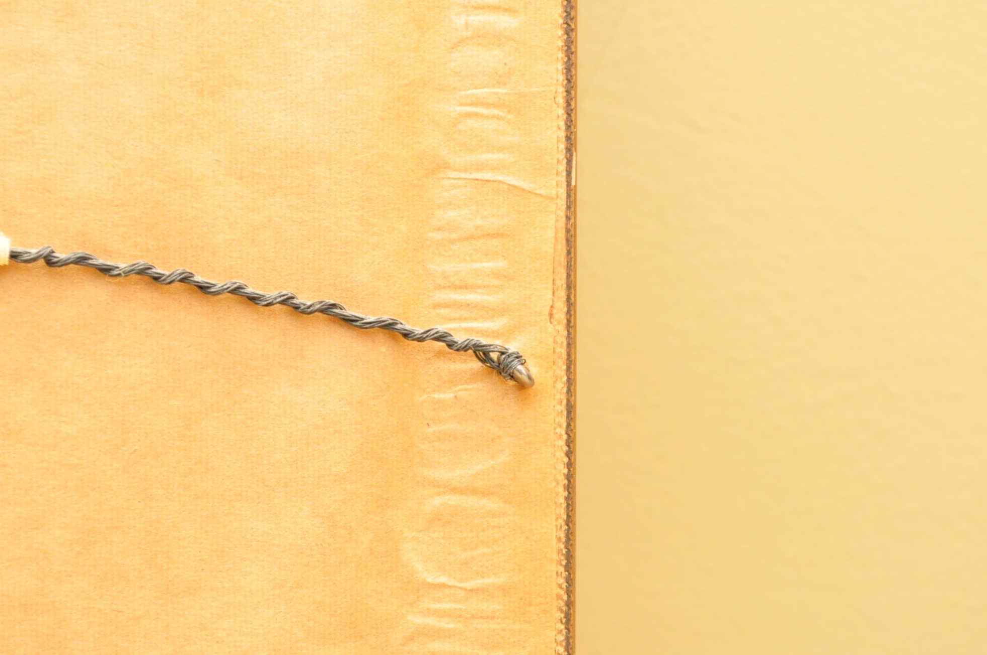 Wildlife Art from Richard Timm and More