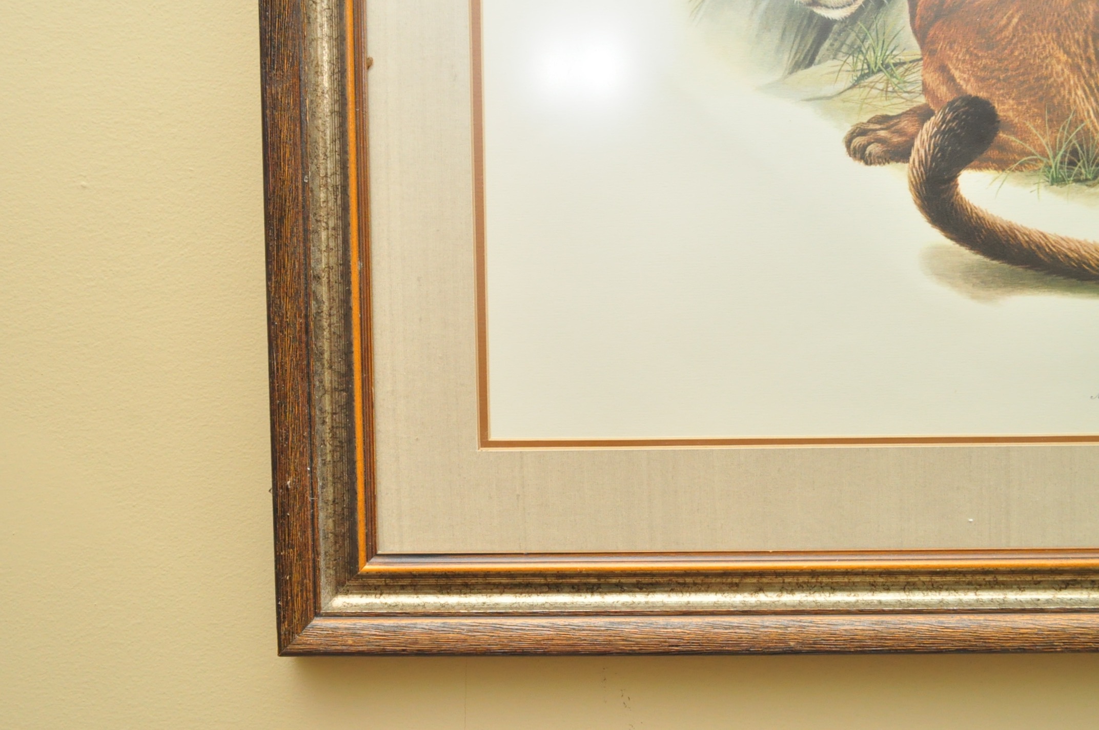 Wildlife Art from Richard Timm and More