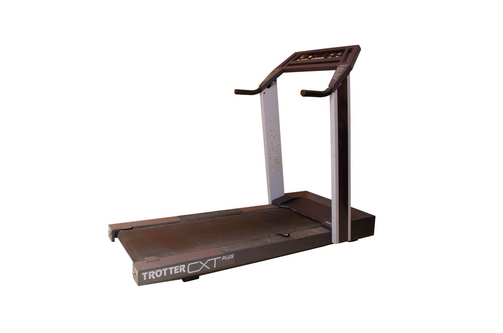 Trotter cxt plus clearance
