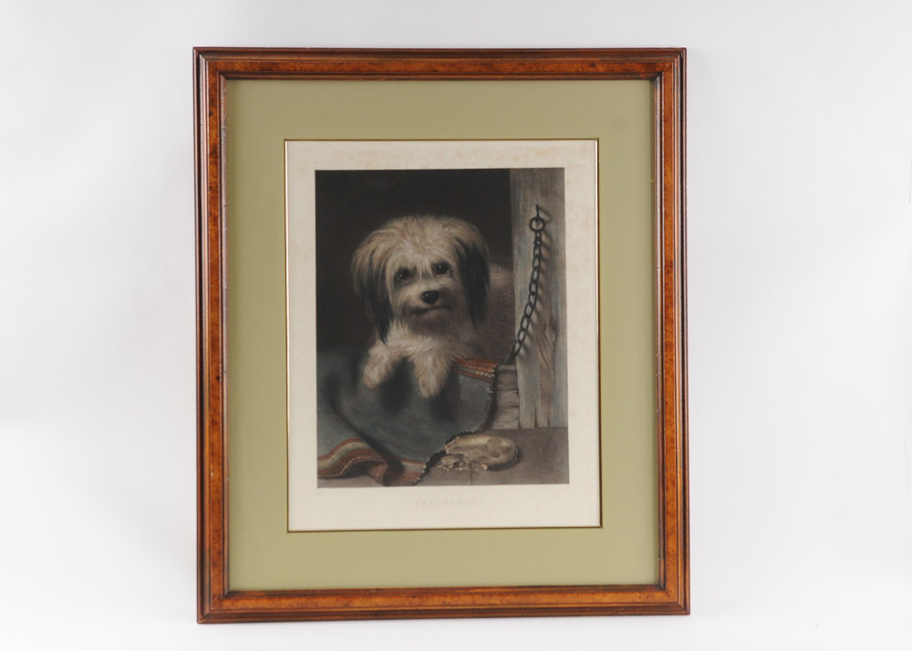 "Impudence" Framed Intaglio Art Print of Dog