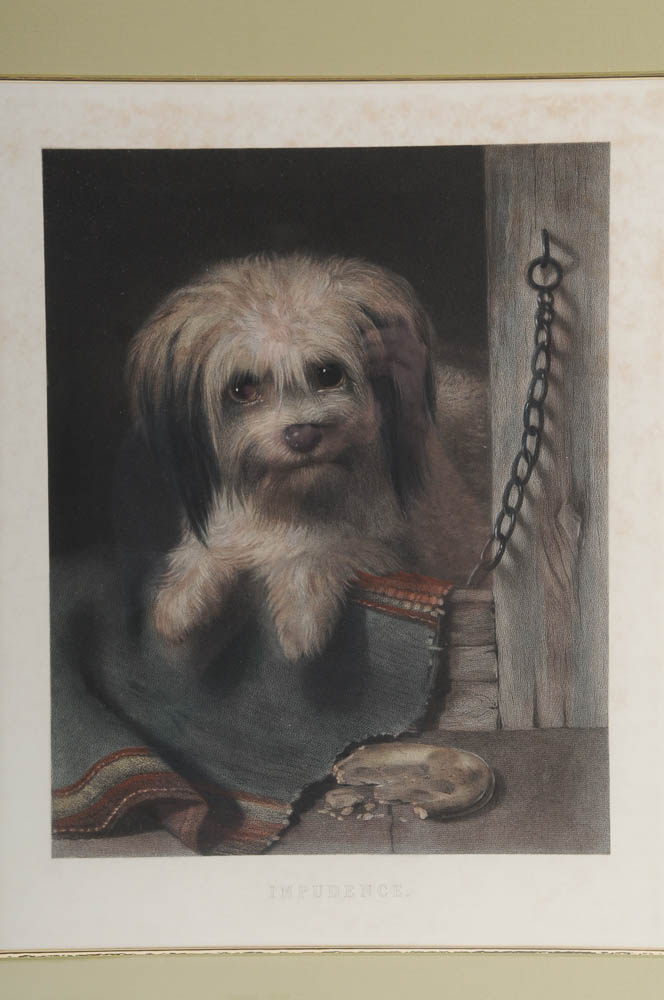 "Impudence" Framed Intaglio Art Print of Dog