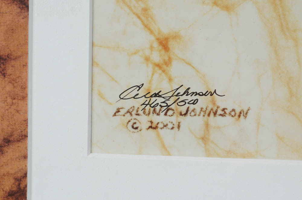 Signed and Numbered Prints of African Wildlife