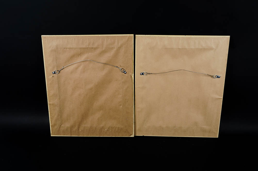 Signed and Numbered Prints of African Wildlife