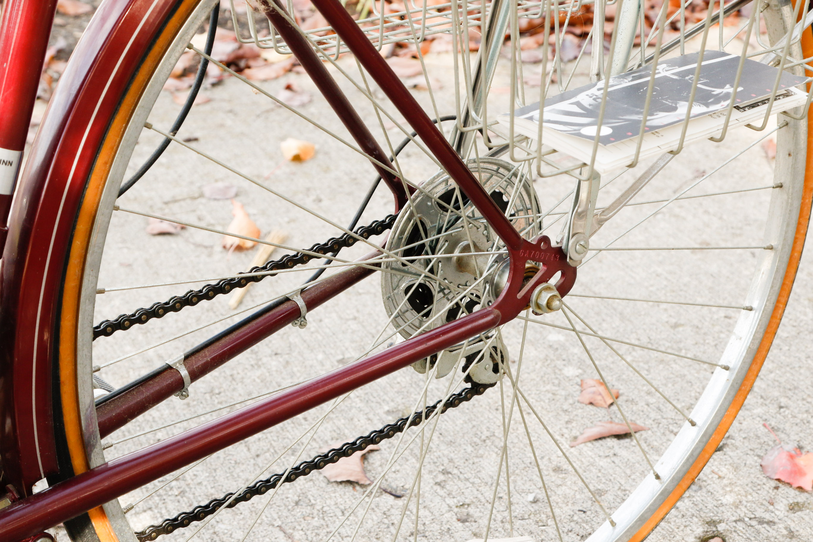 Vintage Schwinn World Tourist Bicycle