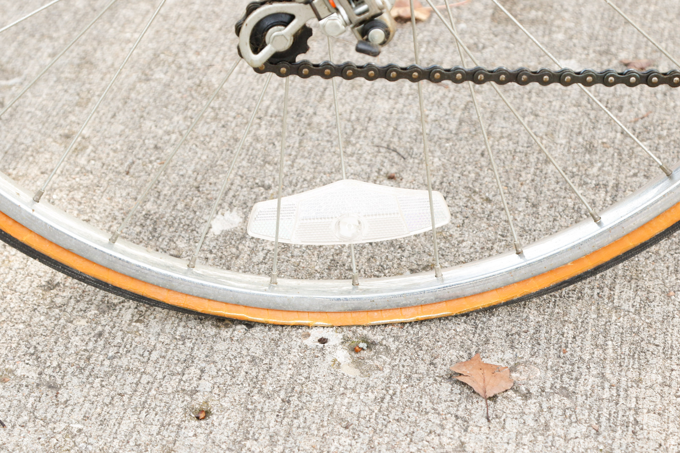 Vintage Schwinn World Tourist Bicycle