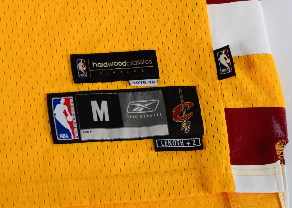 Two LeBron James Jerseys