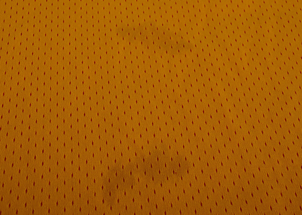 Two LeBron James Jerseys