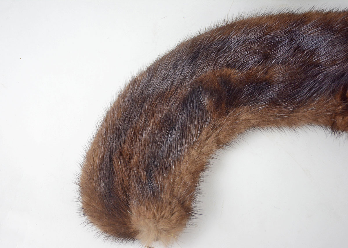 Golden Sable and Chinchilla Fur Scarves and Mink Peter Pan Collar