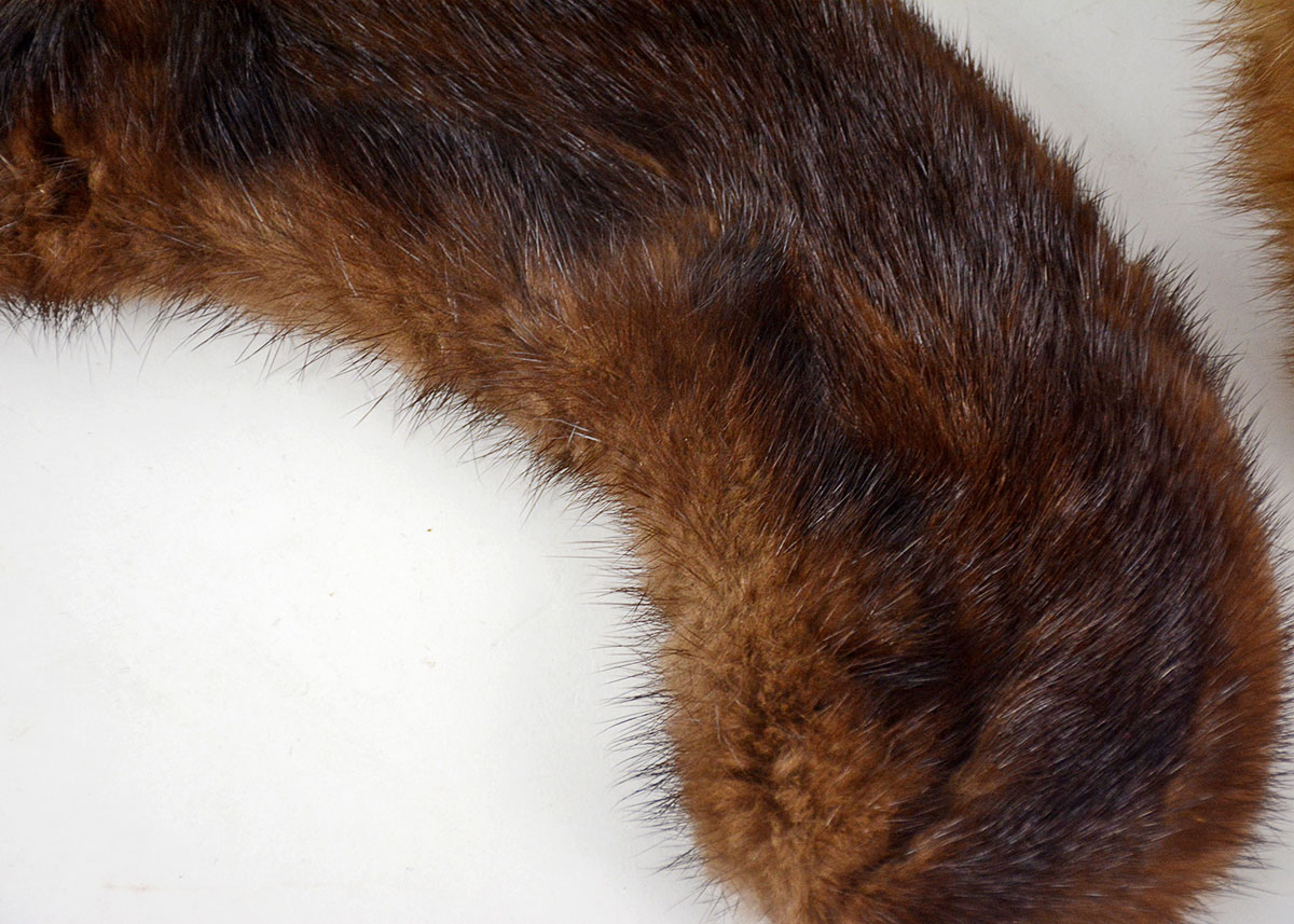 Golden Sable and Chinchilla Fur Scarves and Mink Peter Pan Collar