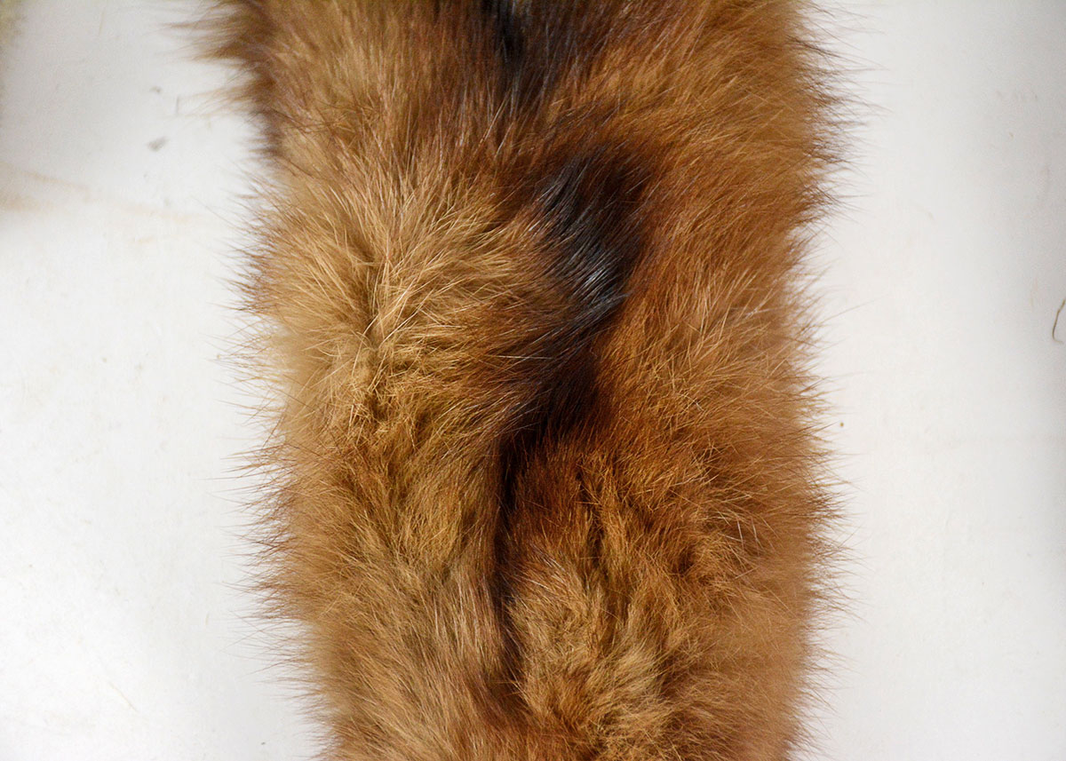 Golden Sable and Chinchilla Fur Scarves and Mink Peter Pan Collar