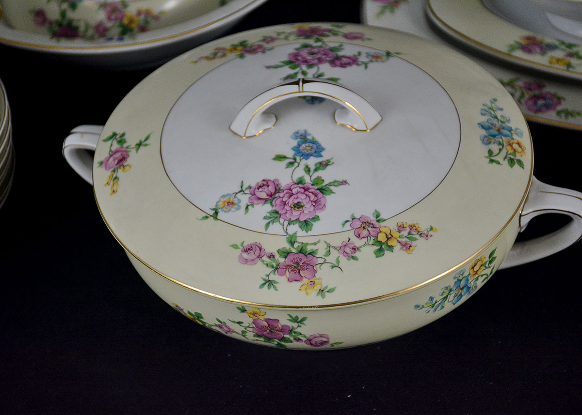 Rare Vintage Patterns Thun Czechoslovakia China