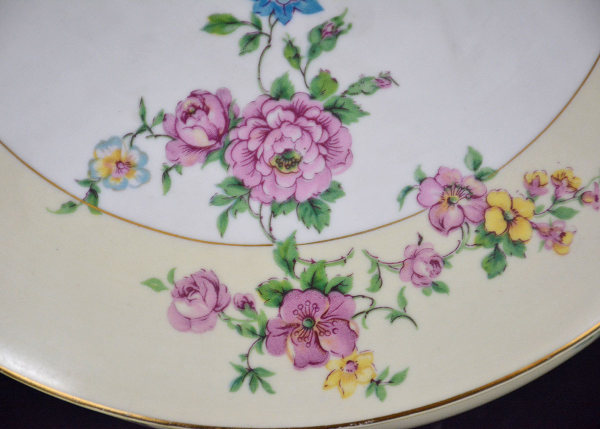 Rare Vintage Patterns Thun Czechoslovakia China