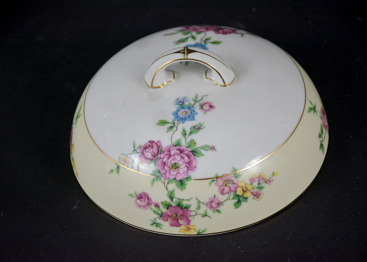 Rare Vintage Patterns Thun Czechoslovakia China