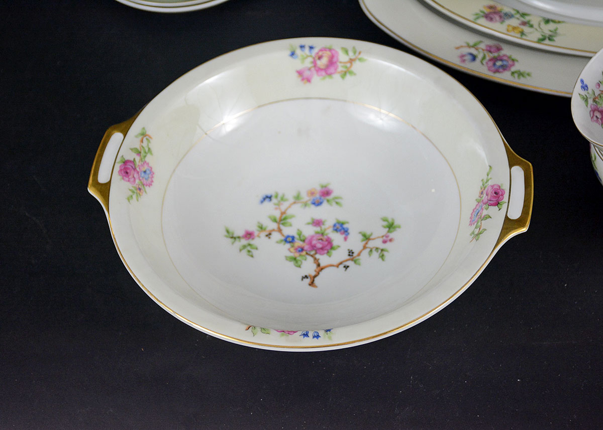 Rare Vintage Patterns Thun Czechoslovakia China