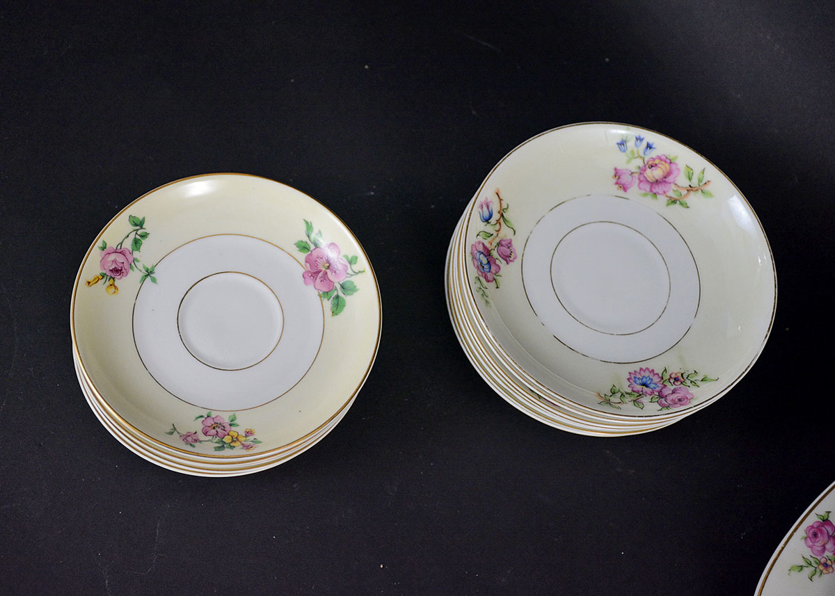Rare Vintage Patterns Thun Czechoslovakia China