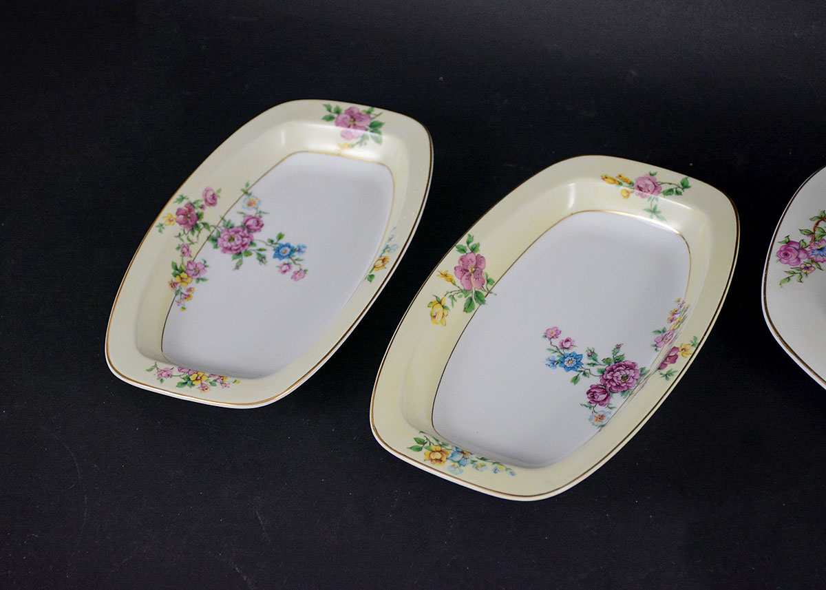 Rare Vintage Patterns Thun Czechoslovakia China