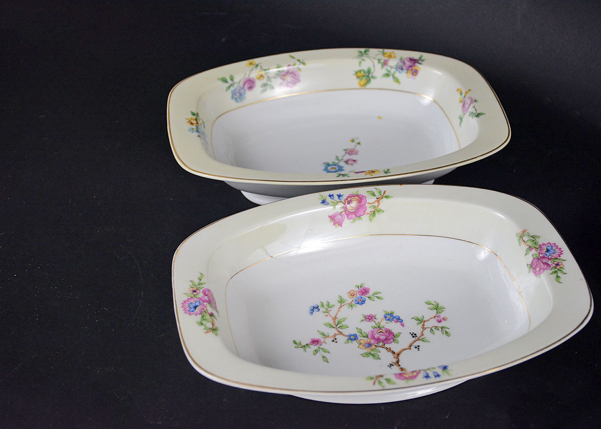 Rare Vintage Patterns Thun Czechoslovakia China