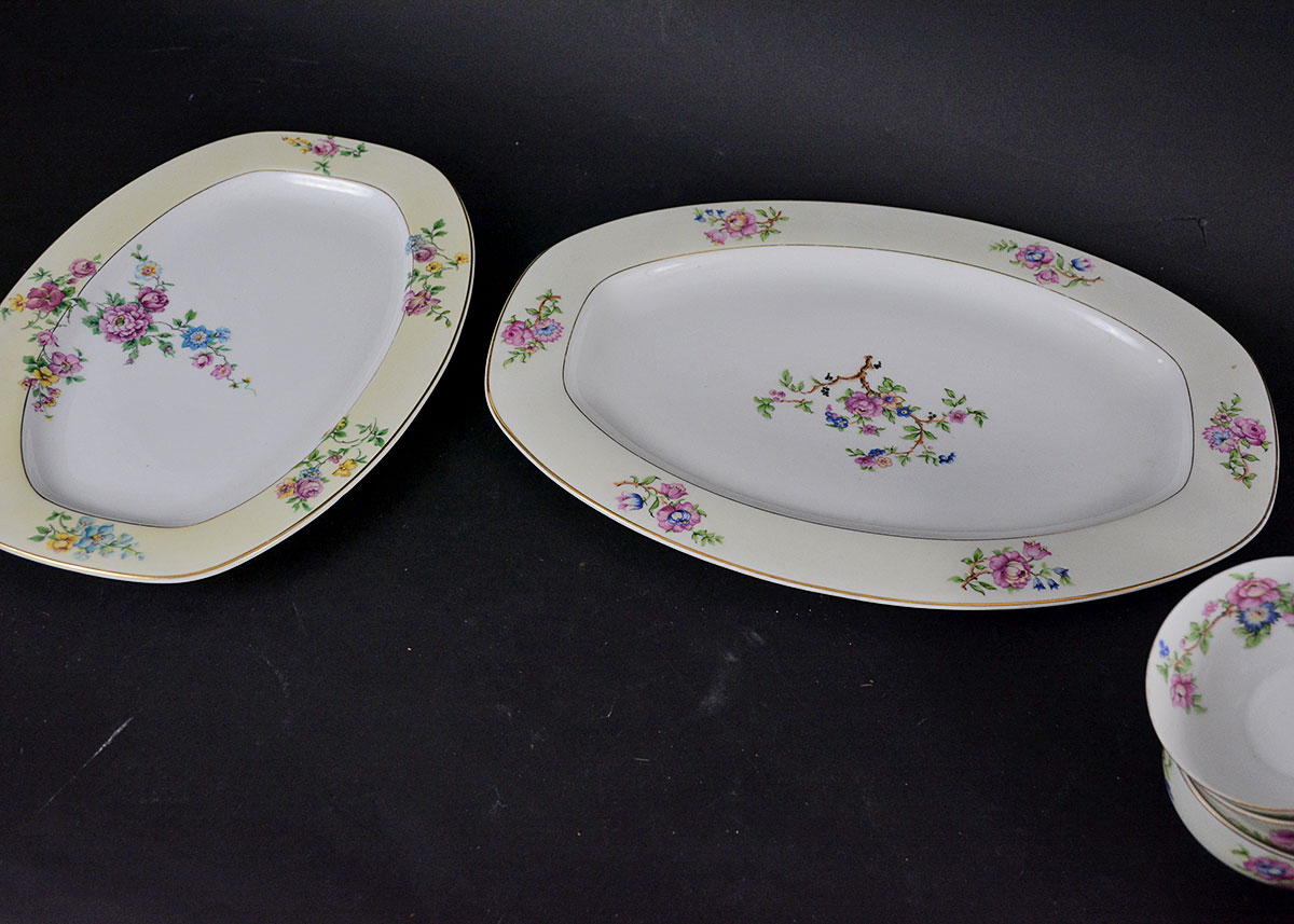 Rare Vintage Patterns Thun Czechoslovakia China